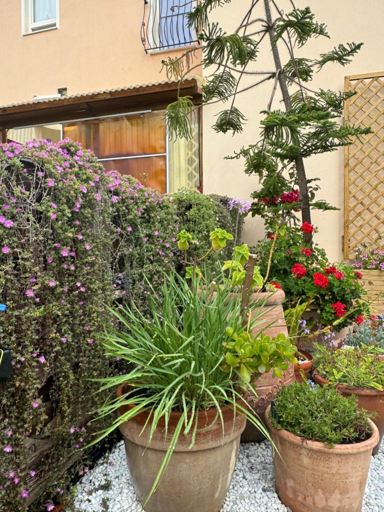 קאפוטרה Villa Dei Fiori - Casa Vacanza מראה חיצוני תמונה